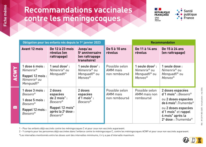 Zoom sur les recommandations vaccinales contre les méningocoques 