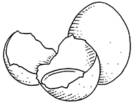 oeuf