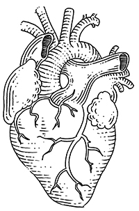 coeur